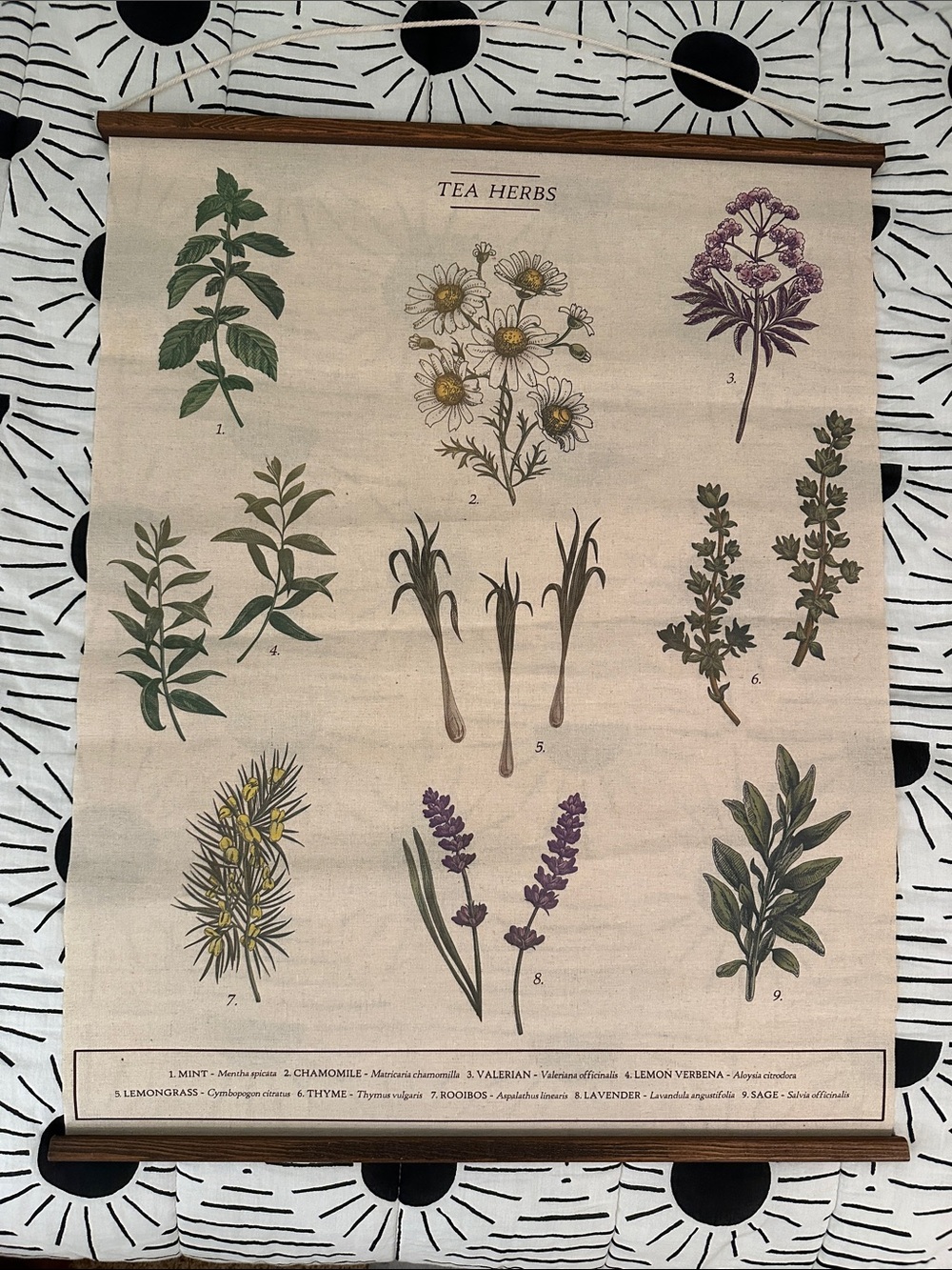 Earthbound Trading Company Herb Wall Art
